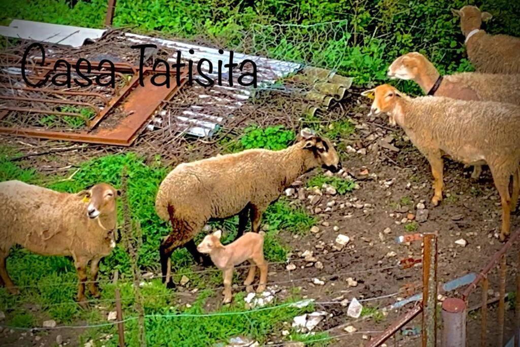 Apartament Casa Tatisita Buhardilla Segura de la Sierra Zewnętrze zdjęcie